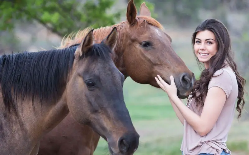 Female Horse Names: 171 Cool Names for your Girl Horse - Equine Desire