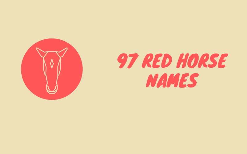 97+ Red Horse Names Amazing ideas (2024) Equine Desire