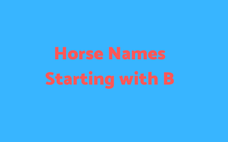 Horse Names Starting with B Equine Desire