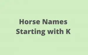 horse names starting with k