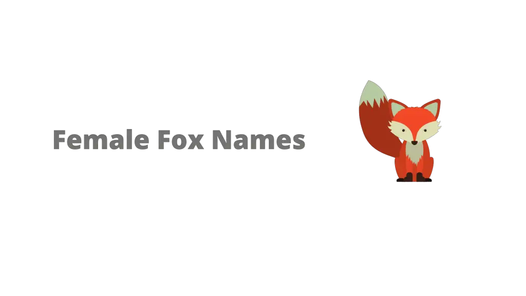 250+ Fox Names (Male & Female) - Equine Desire