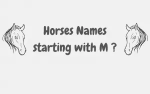 horse names starting with m