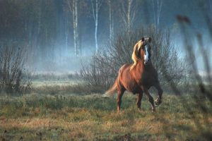latin horse names