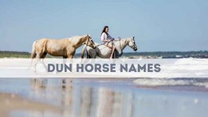 Dun Horse Names