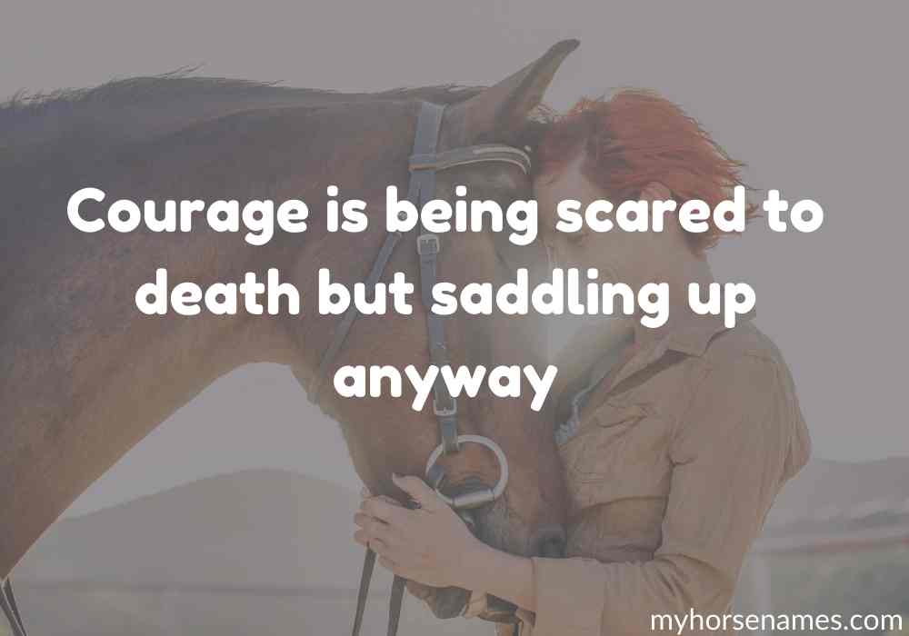 7 Horse Bond Quotes for Inspiration - Equine Desire