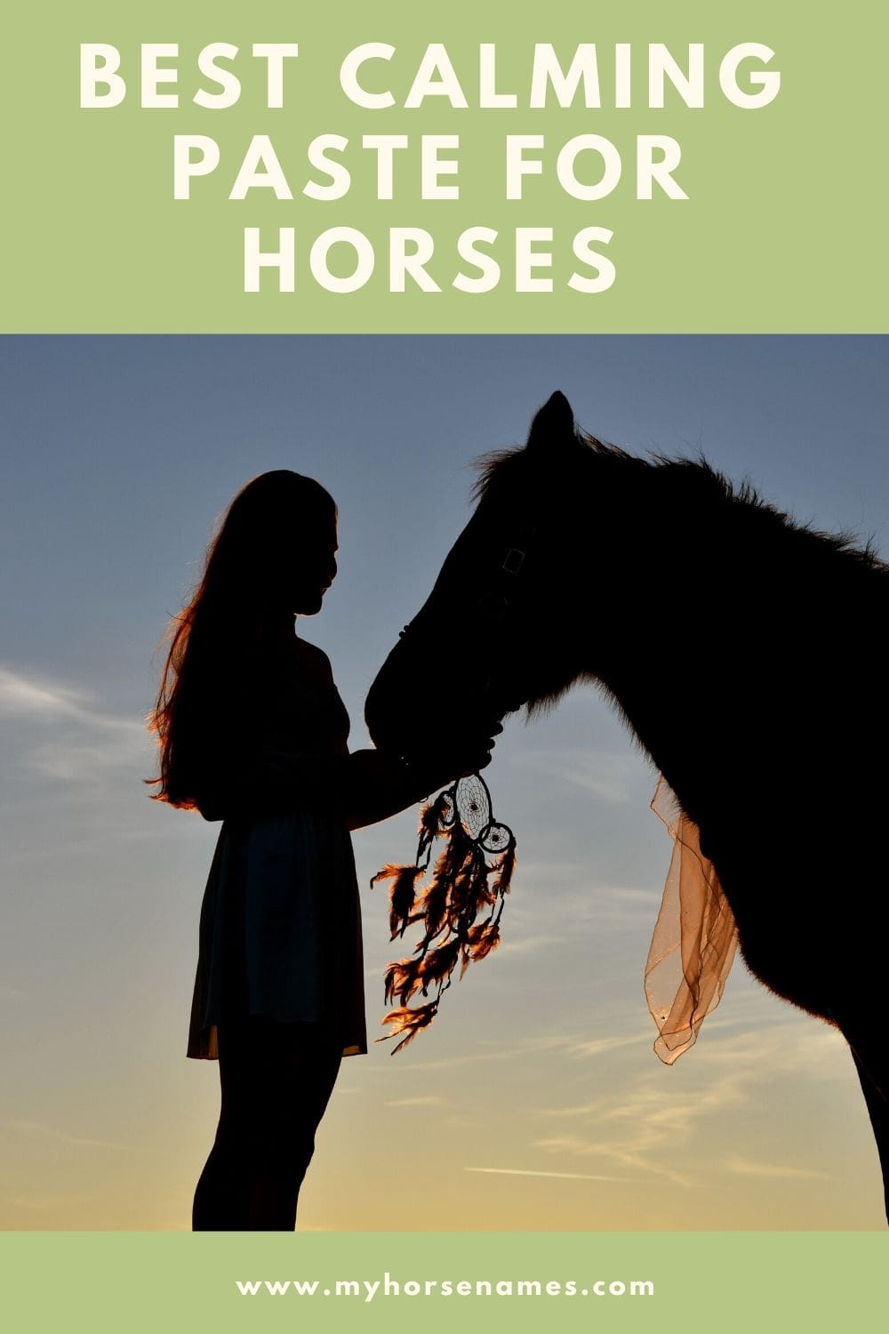 The 11 Best Calming Paste for horses (2024) Equine Desire