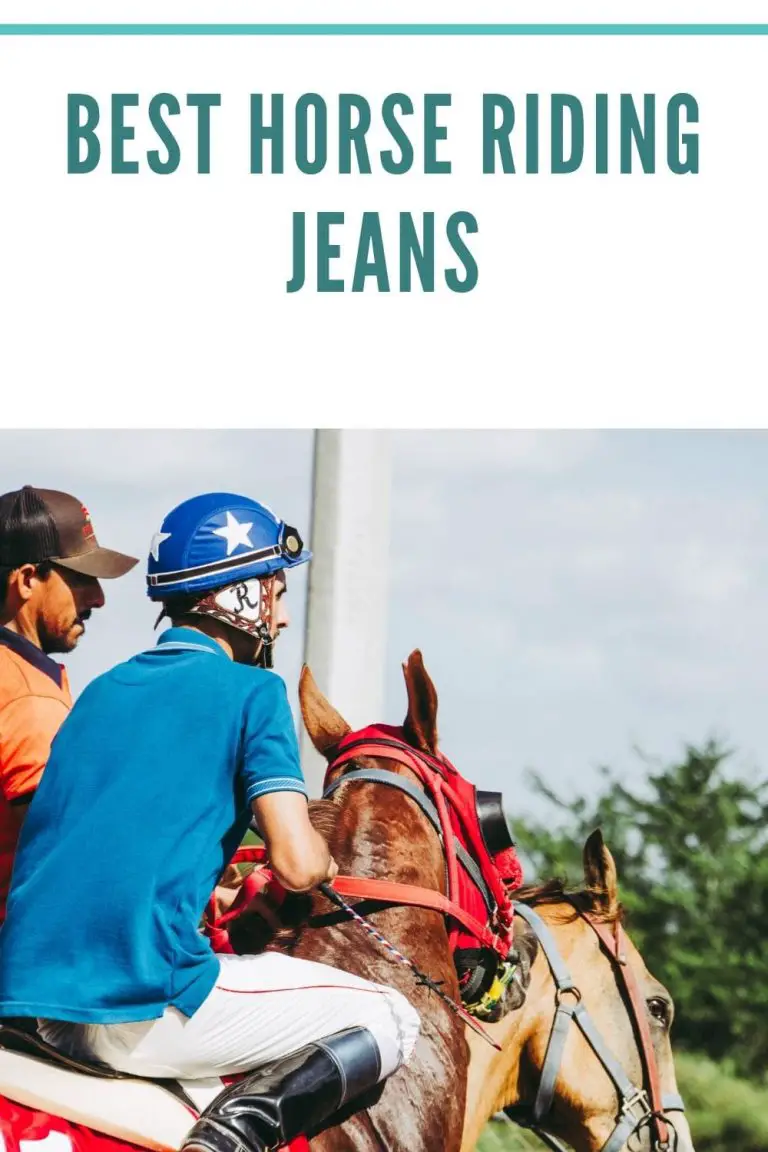 10 Best Horse Riding Jeans (Men & Women 2021) Equine Desire