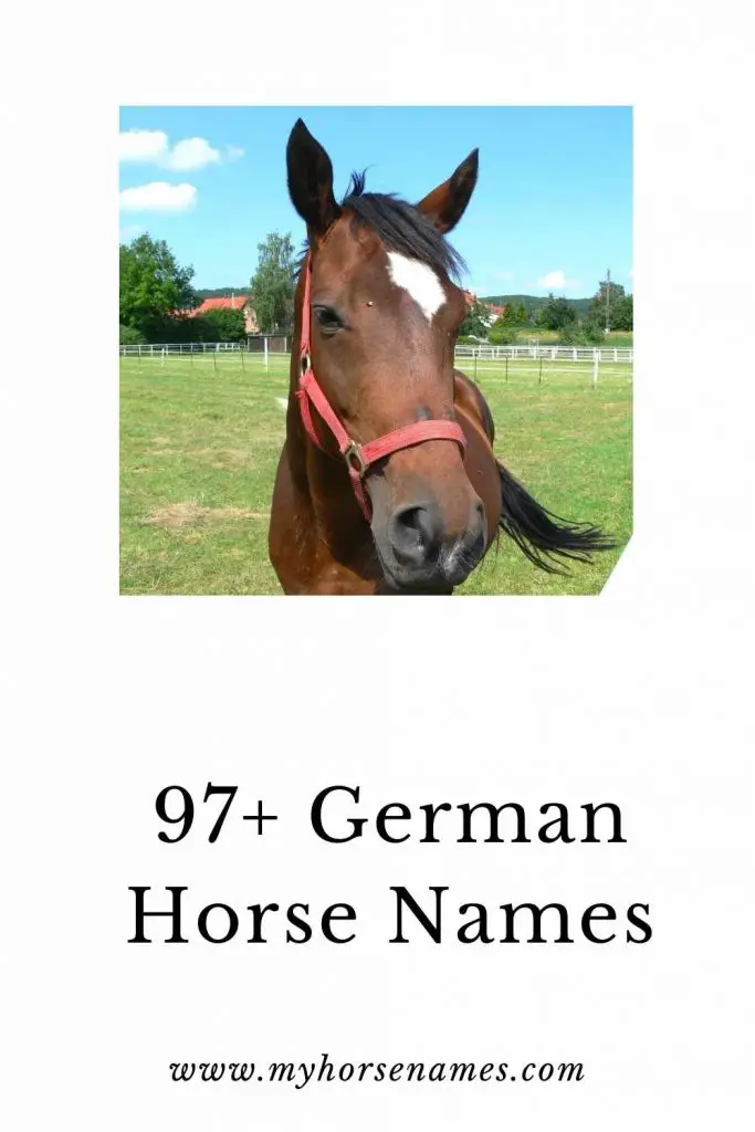 female german horse names