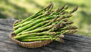 Can Horses Eat Asparagus