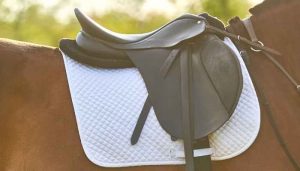 best saddle pad for gaited horse