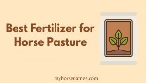 Best Fertilizer for Horse Pasture