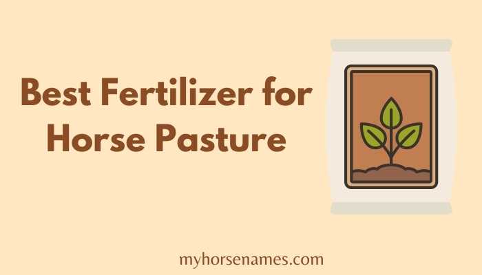 11 Best Fertilizer for Horse Pasture - 2021 Reviews