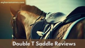 Double T Saddle Reviews