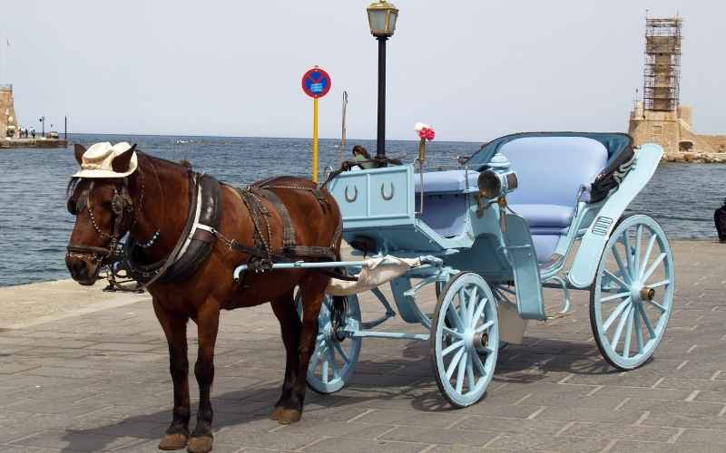 How-far-can-a-horse-drawn-wagon-go-in-one-day