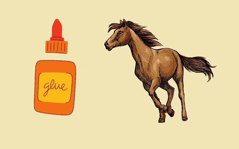 Is Glue Made from Horses? Truth about Horse Glue - Equine Desire