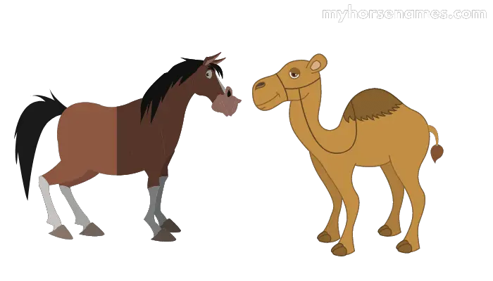 are horses afraid of camels