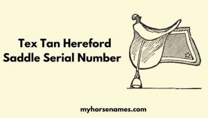 How to Read Tex Tan Hereford Saddle Serial Number