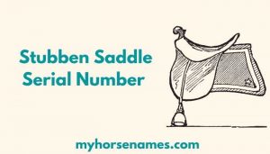 Stubben Saddle Serial Number
