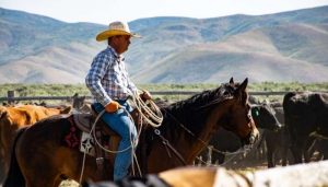 Best Jeans for Cowboy Boots
