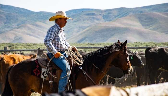 14 Best Jeans for Cowboy Boots in 2021