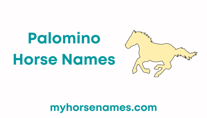 159+ Palomino Horse Names [ Famous & Western Ideas] - Equine Desire