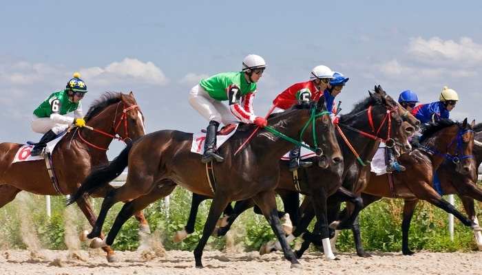 157+ Racehorse Names - Famous & Funny Ideas