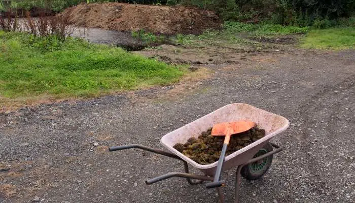 Choose Best Horse Manure Spreader in 2021