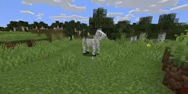 Can You Breed A Skeleton Horse In Minecraft Equine Desire