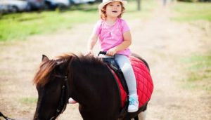 Horse Riding for Toddlers