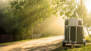 Where Can I Rent a Horse Trailer