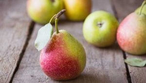 can horses eat pears