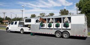 Lakota Horse Trailer Reviews