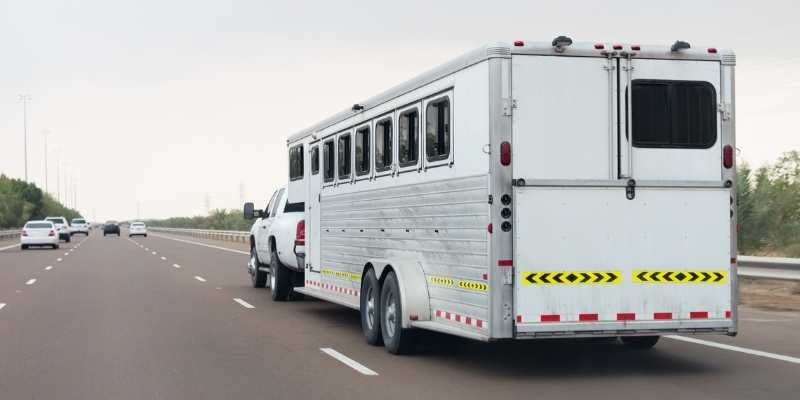 Shadow Horse Trailer Review with All Types