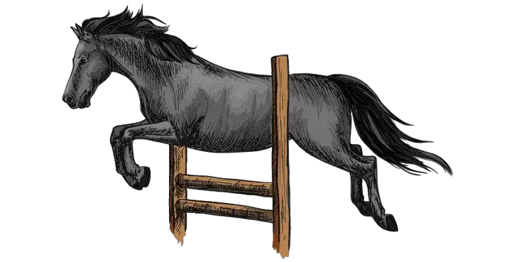 450+ Male Horse Names for your Lovely Stallion 5 stallion names