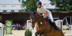 starfishing in horses