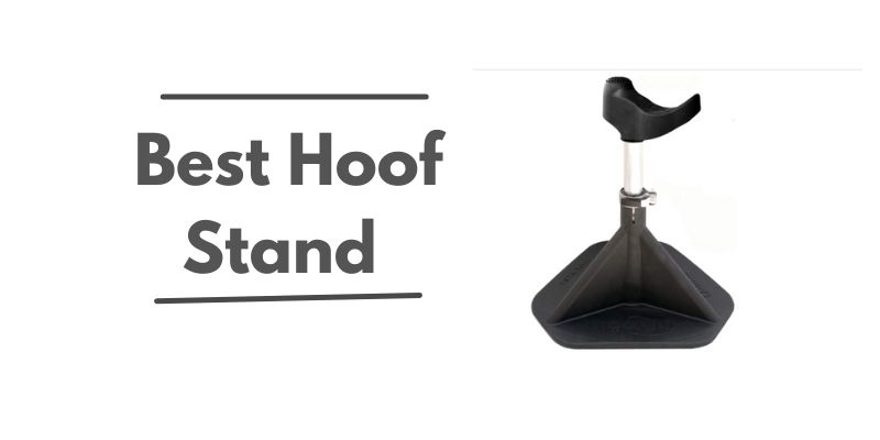 7 Best Hoof Stand for Trimming Hooves (Reviews) 2021
