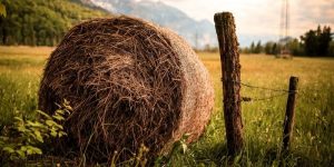 Why are Hay Bales Left in Fields