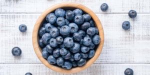 Can Horses Eat Blueberries