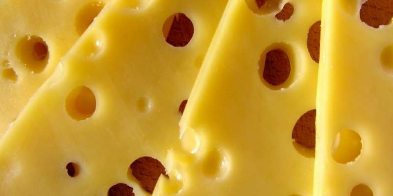 Can Horses Eat Cheese? Read before Feed