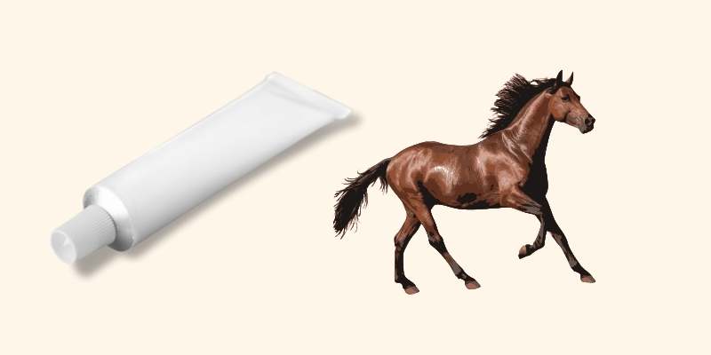 Previcox For Horses with Joint Issues (Arthritis and Laminitis)