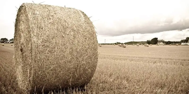 round-hay-bales-uses-costs-and-weight