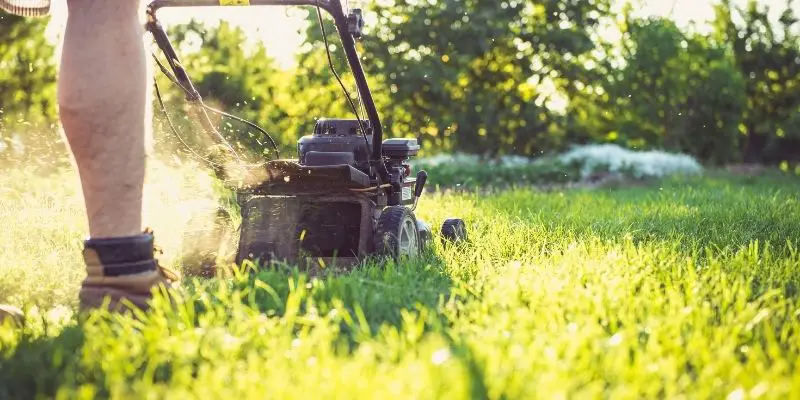 The 5 Best Mowers For Mowing Pasture